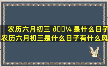 农历六月初三 🐼 是什么日子,农历六月初三是什么日子有什么风俗